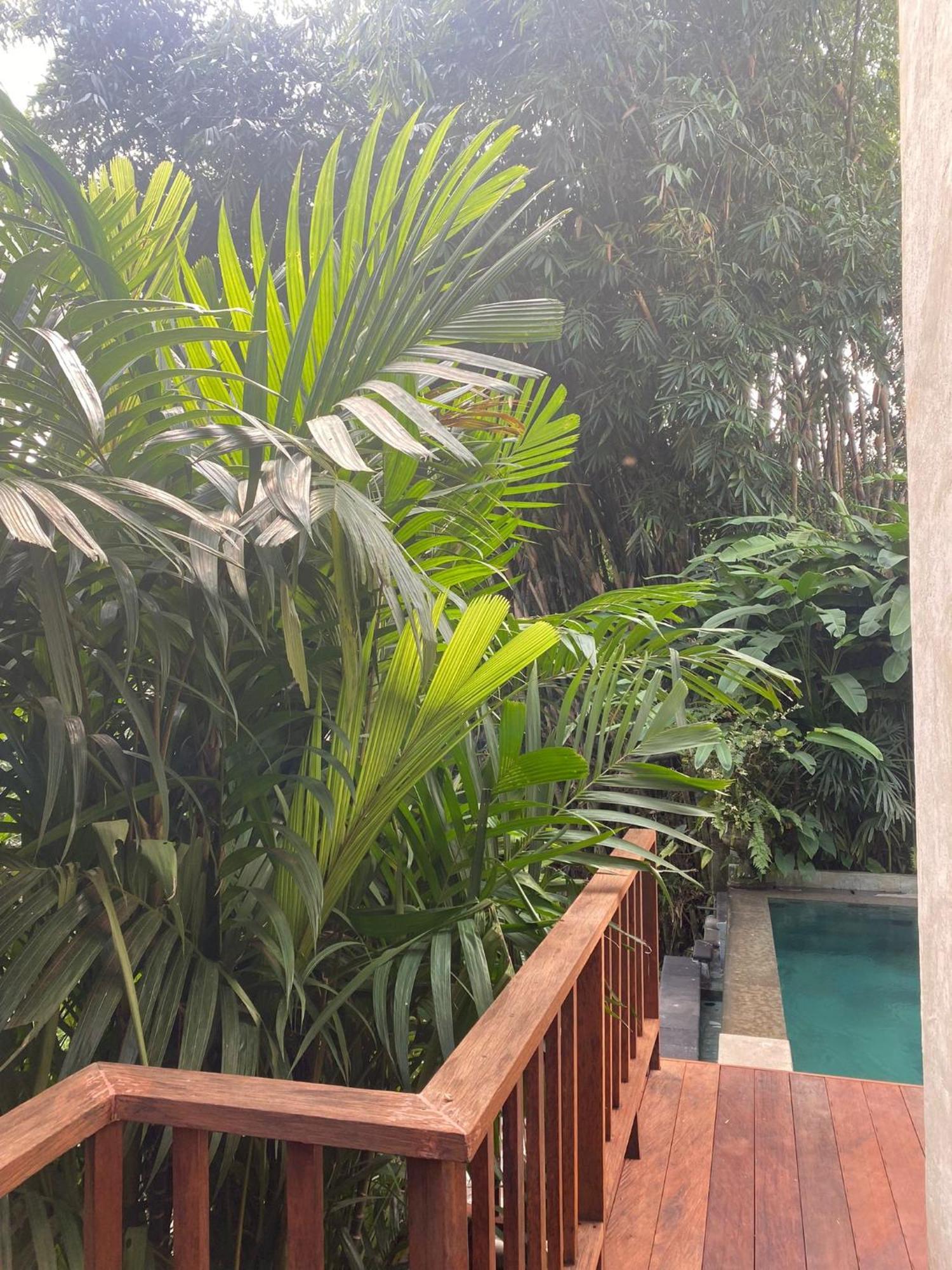 אובוד Villa Purnamasari מראה חיצוני תמונה